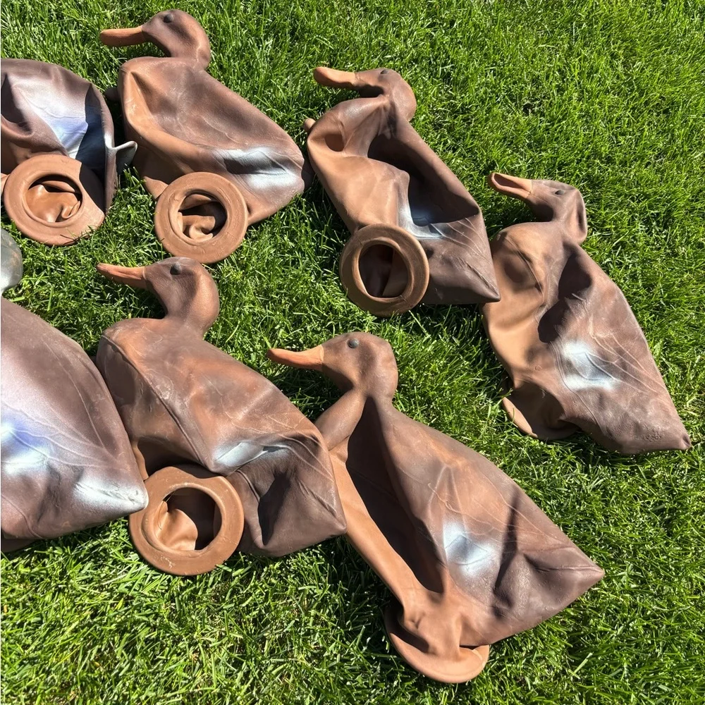 Vintage Duck Hunting Decoys Set - Picture 9 of 10